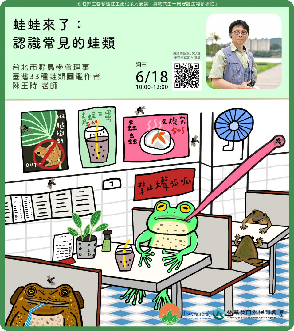 蛙蛙來了認識常見的蛙類海報