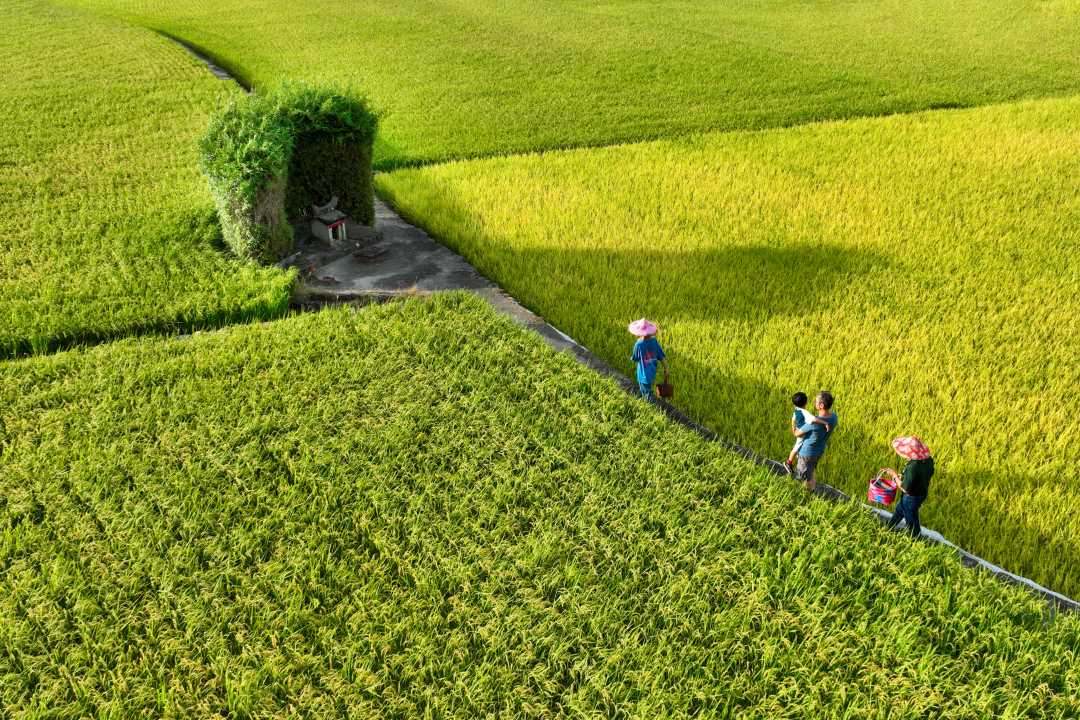 田頭土地公